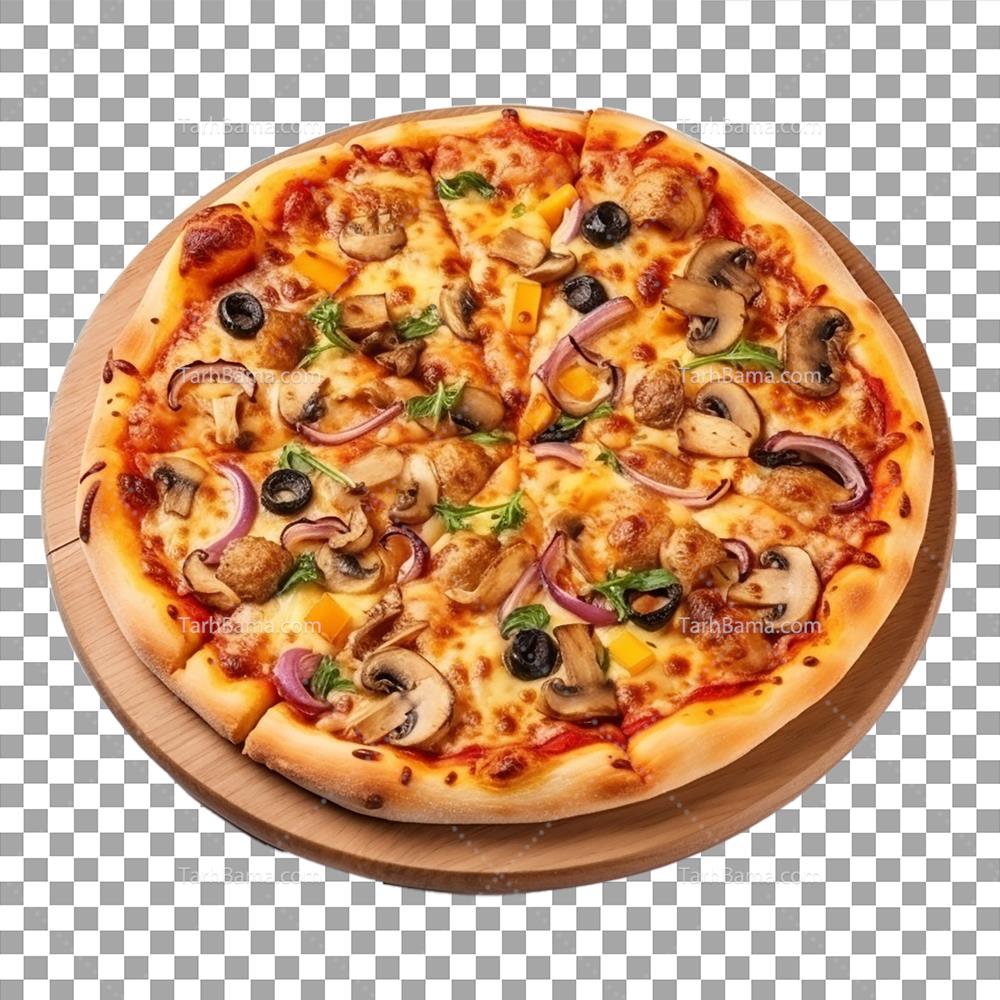 تصاویر همبرگر و فست فود